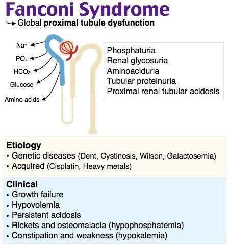 fendi syndrome|ncbi fanconi syndrome.